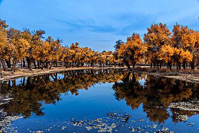 全家齐欢聚！巴适迎虎年 《疯狂兔子：奇遇派对》免费DLC现已推出